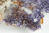 Purple Edge Fluorite Crystals on Quartz - China #182822-3